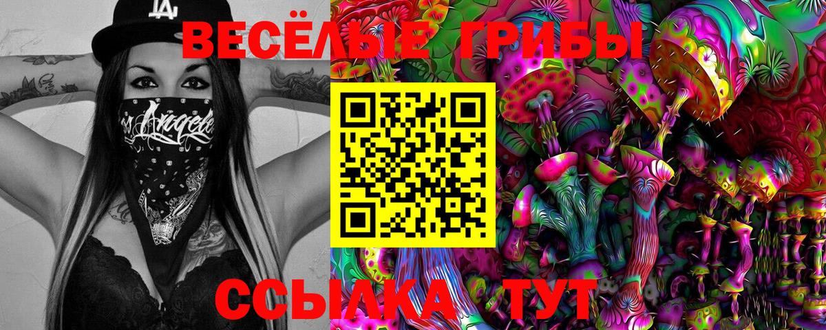 Галлюциногенные грибы ЛСД Жигулёвск
