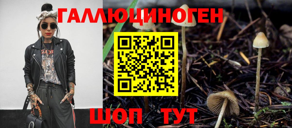 купить наркоту  Вход с VPN  Жигулёвск  Галлюциногенные грибы Psilocybe 